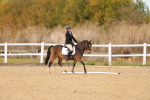 SBM_010543