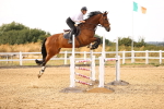 SBM_001874