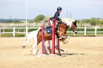 SBM_007800