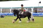 SBM_02652
