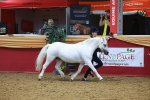 SBM_16569