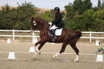 SBM_022097