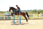 SBM_006331