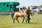 SBM_05566