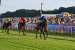 240726-Race 5-Diamond Rain-5481