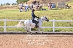 BPP_2403