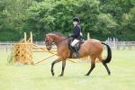 SBM_15821