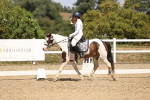 SBM_004841