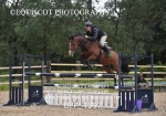 25th JUNE 2025 - WED SENIOR CAT2 British Showjumping - MUIRMILL EC portfolio