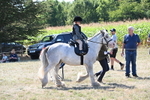 WJ6_7831