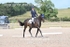 BPP_7345