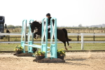 SBM_002231