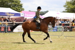SBM_14800