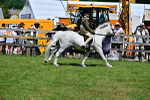 SBM_07806