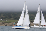 210703 FLAME OF ANOR GBR9939 1Y3A1083
