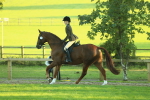 SBM_56460