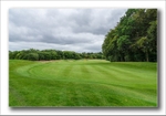 15th green Bangorshill
