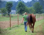Haleys Horse_026