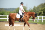 SBM_007981