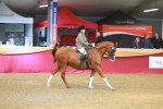 SBM_10581