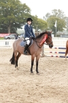 Supreme Championship Junior Pony 60cm & 65cm portfolio