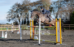 Senior Showjumping_10-11-2019-19