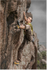 Freeclimbing Roscoes Wall