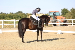 SBM_007678