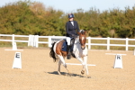 SBM_001415