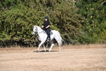 WJ6_6988