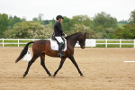 SBM_005355