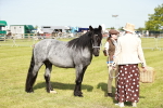 SBM_01579