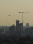 Crane and Bird, Paddington