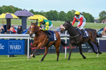 120526-Race 5-Coolree-8769