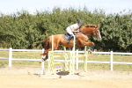 SBM_008066