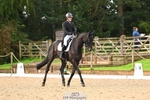 329-RINGFORT.REVE.DU.MOULIN-Andrew.Downes-DR portfolio