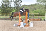 BPP_3553