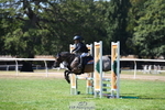 Sunday 23rd Newberry Arena portfolio