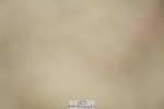 230701A-125120-05837