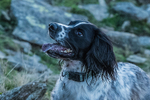 Dunnerdale-1072