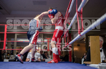 Bout - 7_Sam Masterton v William Graham-39