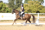 SBM_007570