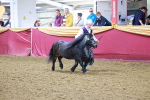 SBM_14705