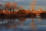 Winter reflections