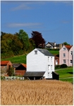 Thorrington Mill