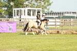 SBM_11031