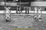 BPP_7185