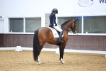 SBM_008015