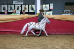 SBM_16017