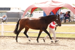 SBM_15363